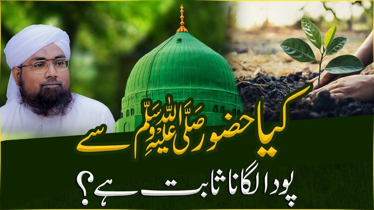 Ultrasound Karwana Kaisa?